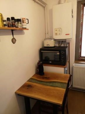 Zen Sinaia Apartment